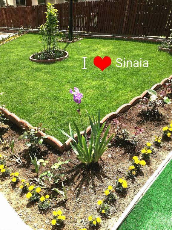 Casa Hera Sinaia