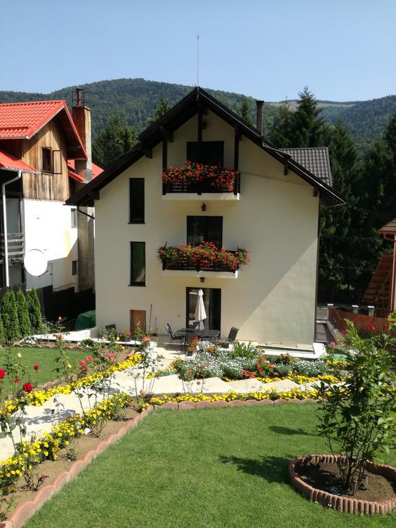 Casa Hera Pensiune Sinaia
